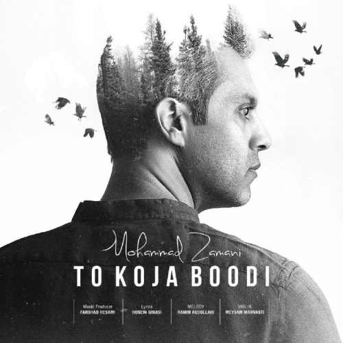 محمد زمانی تو کجا بودی